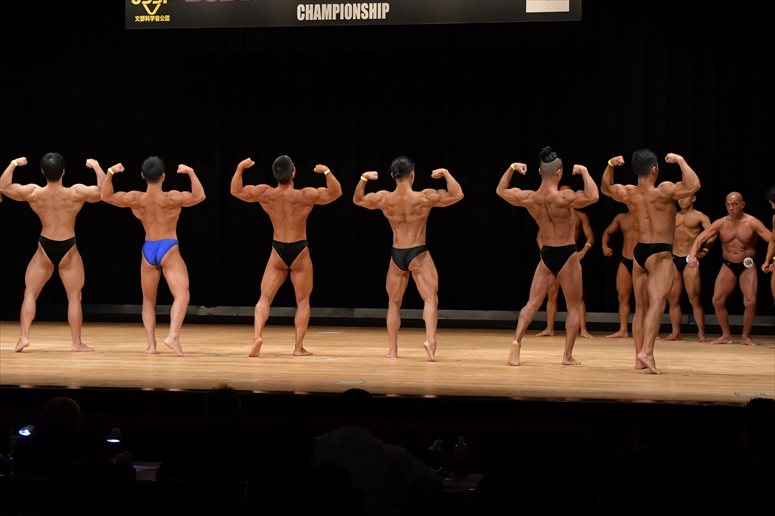 taikai-photo