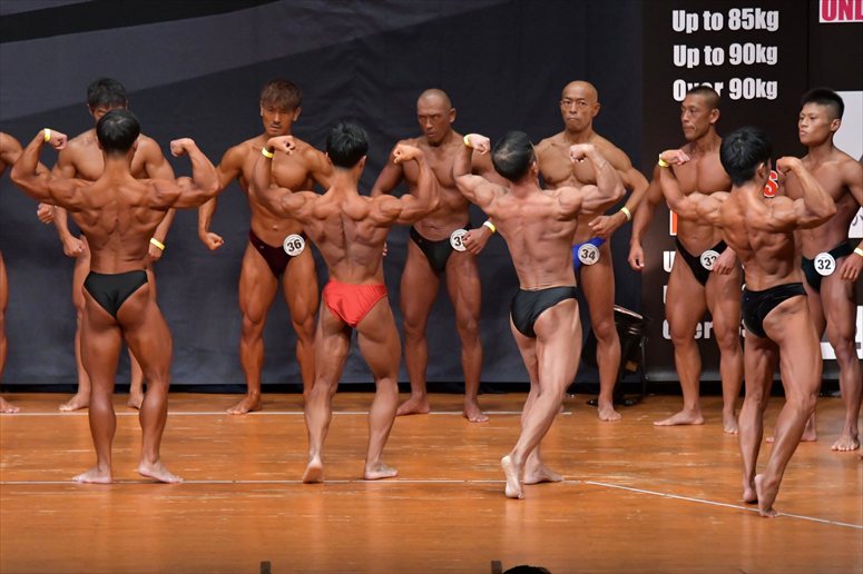 taikai-photo
